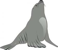 Animals - Valessiobrito Sea Lion clip art 