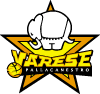 Varese Basketball Vector Logo Preview