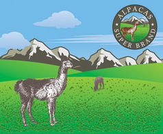 Animals - Vector Alpacas on Grassland 