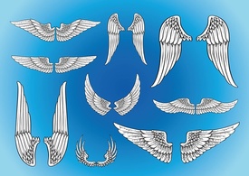 Vector Art Wings