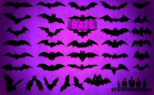 Vector Bats Preview