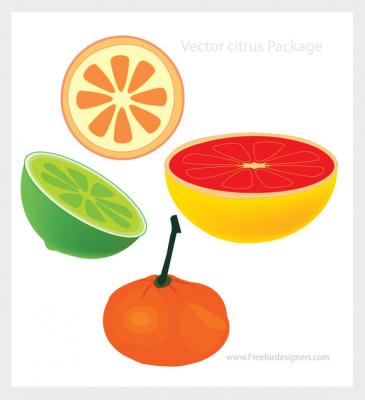 Food - Vector Citrus Package 