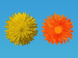 Nature - Vector Flower Designs 