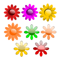 Vector Flowers