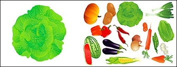 Food - Vector fruits and vegetables 