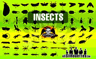 Vector Insects