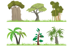 Nature - Vector Jungle Tree 
