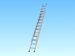 Vector Ladder