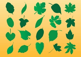 Nature - Vector Leaf Silhouette 