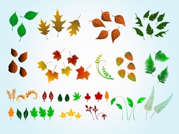 Elements - Vector Leaves Graphics 