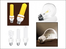 Objects - Vector Lightbulbs 