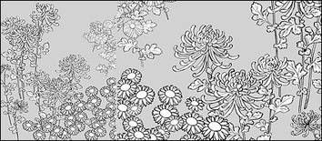 Flowers & Trees - Vector line drawing of flowers-27(Wild chrysanthemum) 