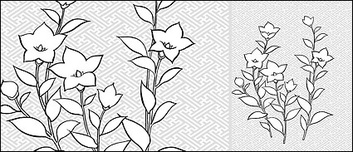 Flowers & Trees - Vector line drawing of flowers-28(Campanulaceae) 