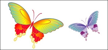 Animals - Vector material Butterfly 