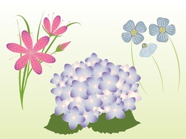 Nature - Vector Spring Flowers 