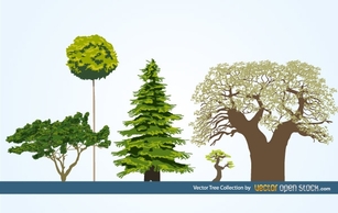 Nature - Vector Tree Collection 