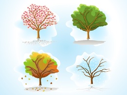 Nature - Vector Trees Pack 