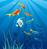 Vector Underwater world