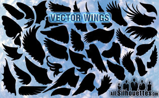 Vector Wings 