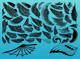 Elements - Vector Wings 