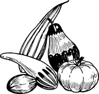 Food - Vegetables clip art 