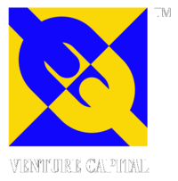 Venture Capital Preview