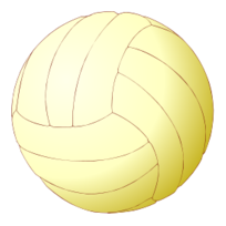 Volleyball