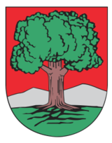 Walbrzych - coat of arms Preview