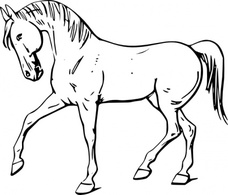 Walking Horse Outline clip art