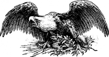Animals - War Eagle clip art 