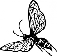 Animals - Wasp clip art 