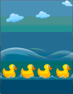 Animals - Water ducks 