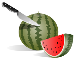 Food - Watermelon Vector 