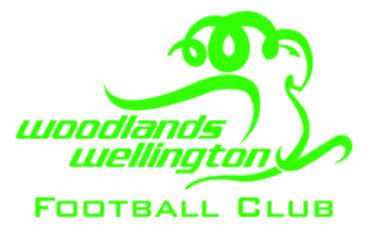 Wellington Woodlands Football Club 