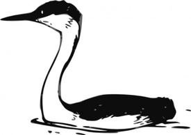 Banners - Western Grebe clip art 