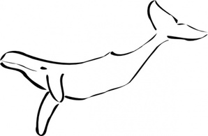 Animals - Whale clip art 