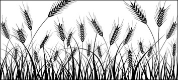 Silhouette - Wheat silhouettes vector material 