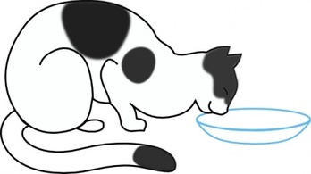 Animals - White Cat Drinking clip art 