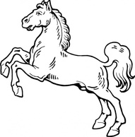 Animals - White Horse clip art 