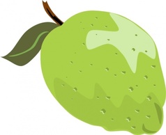 Food - Whole Lime clip art 