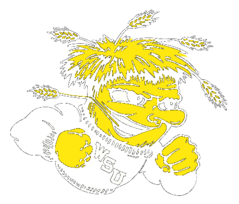 Wichita State Shockers Preview