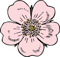 Flowers & Trees - Wild Rose clip art 