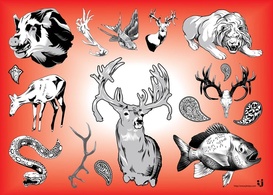 Animals - Wildlife Vector Graphics 