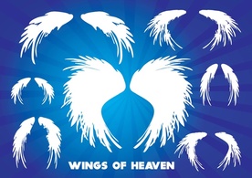 Shapes - Wings of Heaven 