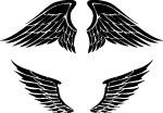 Wings Vector Image 