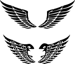 Wings Vector Image