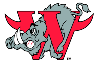 Winston Salem Warthogs