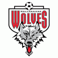 Football - Wollongong Wolves FC 