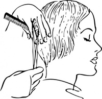 Human - Women S Haircutting clip art 