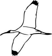 Wood Ibis 2 clip art